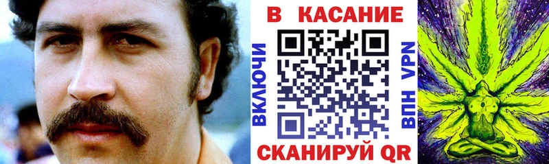 Наркотические вещества Санкт-Петербург Альфа ПВП ГАШИШ Канабис Галлюциногенные грибы Метамфетамин COCAIN