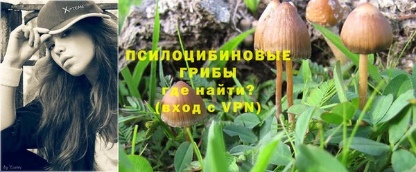 а пвп мука Аркадак