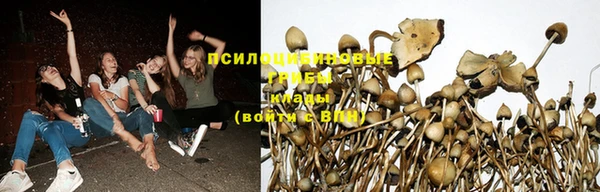 2c-b Баксан