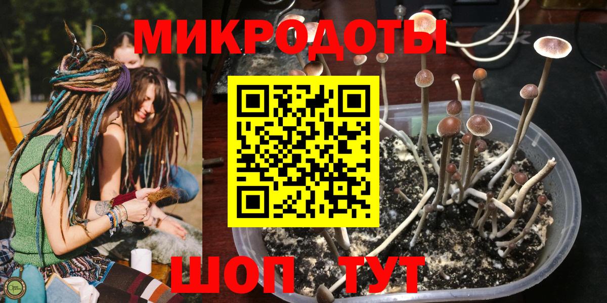 Псилоцибиновые грибы прущие грибы Санкт-Петербург