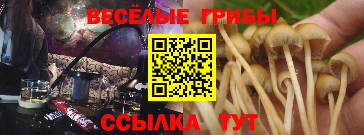 Галлюциногенные грибы мицелий  Псилоцибиновые грибы мицелий  Санкт-Петербург  Вход с VPN 